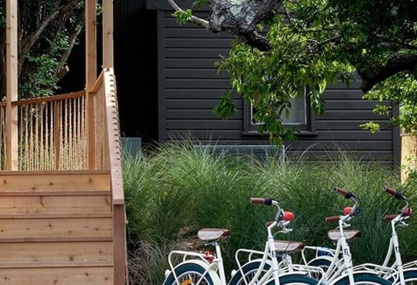 Ruschmeyers #16   2 Queen