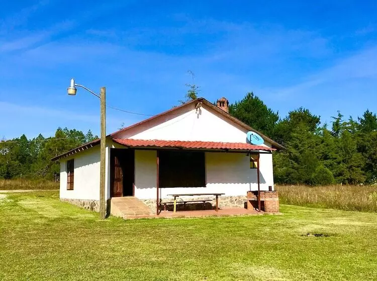 Cabañas Valle San Javier Huasca