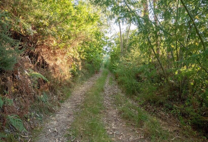 בית מלון כפרי Naturena