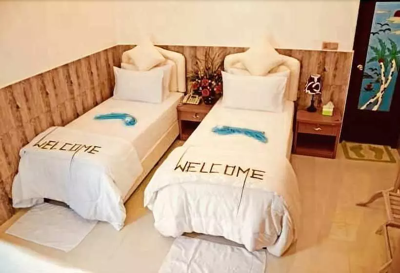 پانسیون Venturo