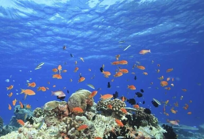 پانسیون Venturo