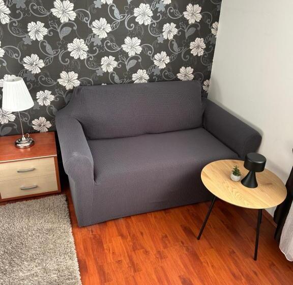 펜션 Villa čančar