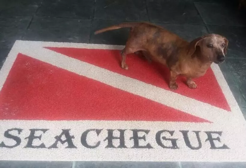 ホテル Pousada Seachegue