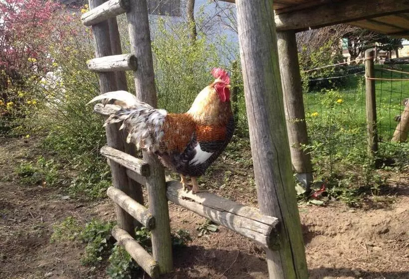 Baby  Und Kinderhof Aicherbauer