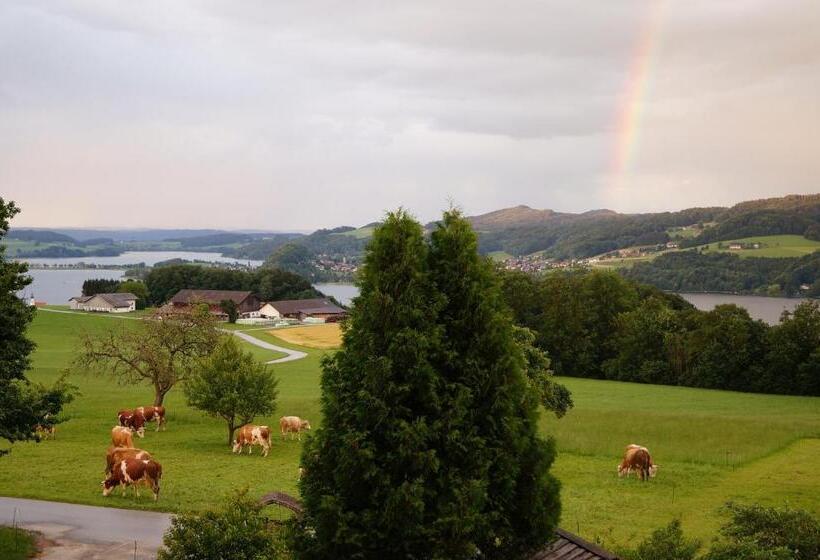 Baby Und Kinderhof Aicherbauer