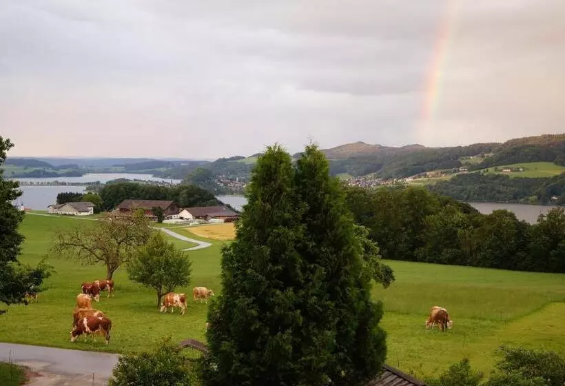 Baby Und Kinderhof Aicherbauer