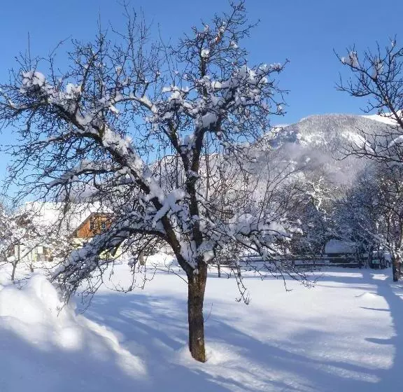Bed and Breakfast Gästehaus Kloibergütl