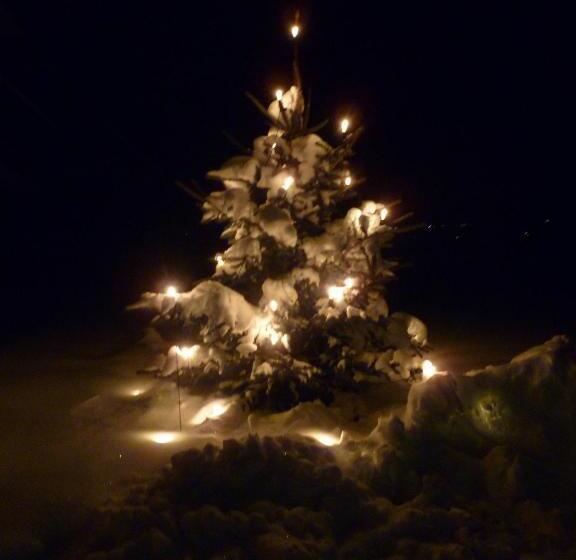 Bed and Breakfast Gästehaus Kloibergütl