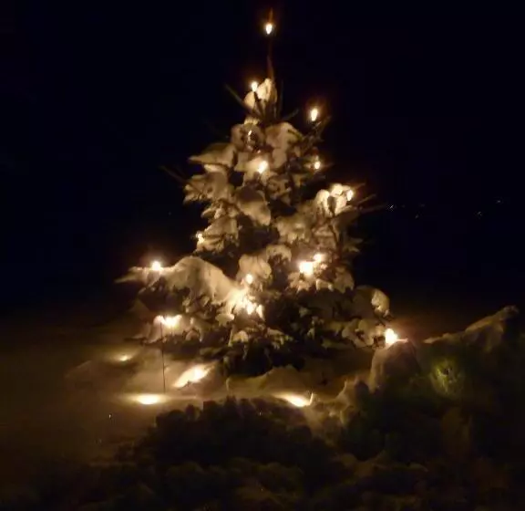 Bed and Breakfast Gästehaus Kloibergütl