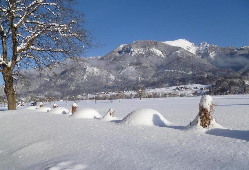 Bed and Breakfast Gästehaus Kloibergütl