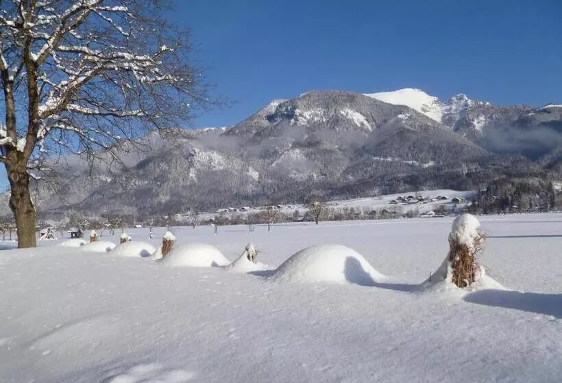 Bed and Breakfast Gästehaus Kloibergütl