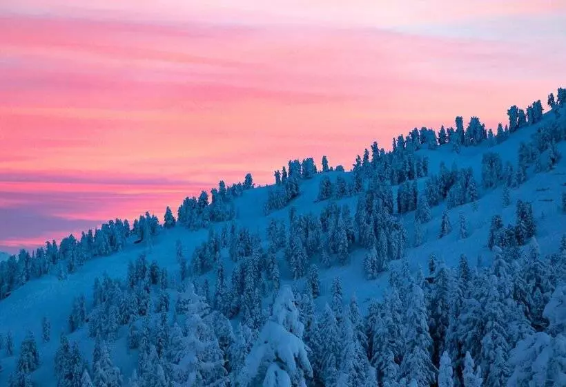 Central Hotel & Apart Mit Landhaus Central
