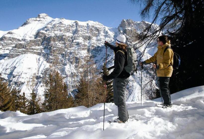 בית מלון כפרי Almhof