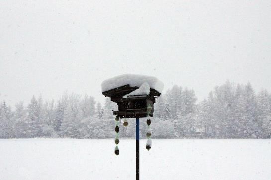 Bauernhof Dismas'n Hof