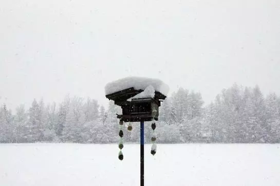 Bauernhof Dismas'n Hof