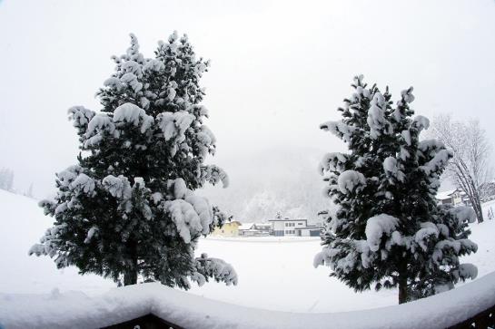 Bauernhof Dismas'n Hof