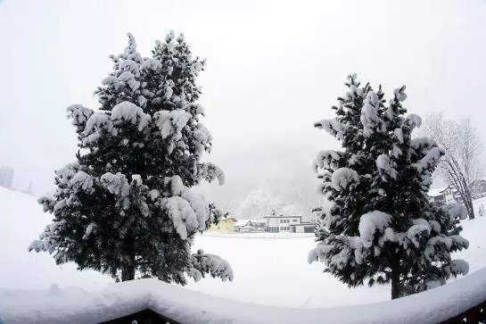 Bauernhof Dismas'n Hof