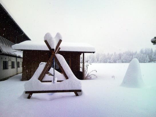 Bauernhof Dismas'n Hof