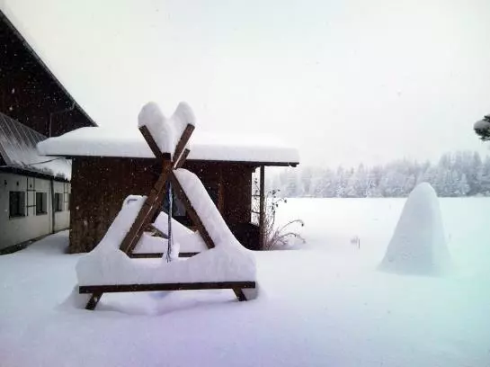 Bauernhof Dismas'n Hof