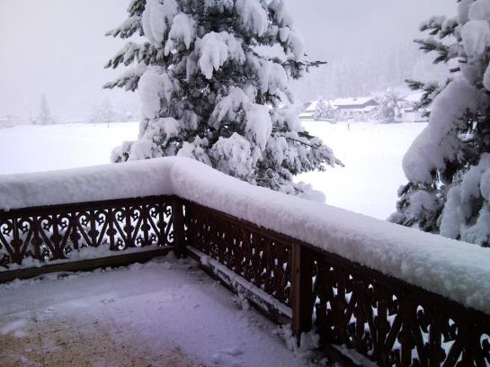 Bauernhof Dismas'n Hof