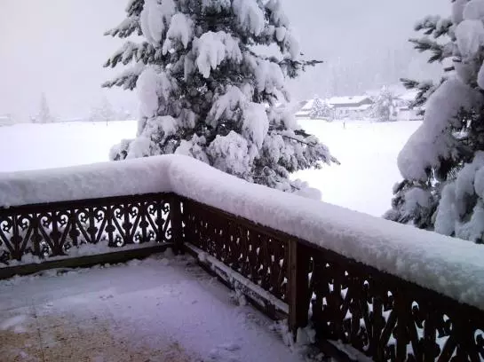 Bauernhof Dismas'n Hof