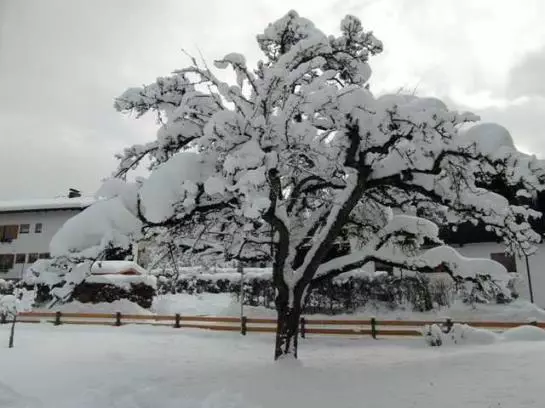 Bauernhof Kienberghof