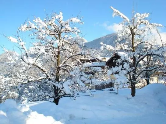 Bauernhof Kienberghof