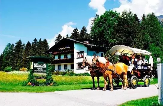 Bauernhof Liedlhof