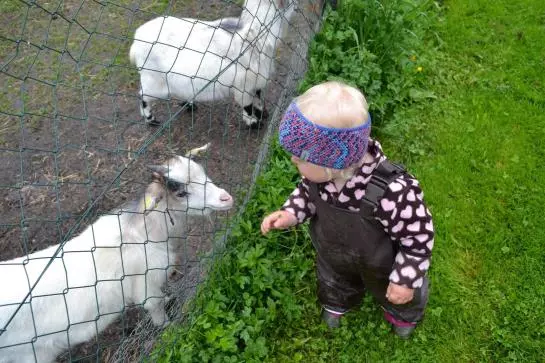 Bauernhof Schobergut