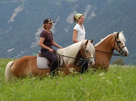 Naturhotel Feriengut Darrehof
