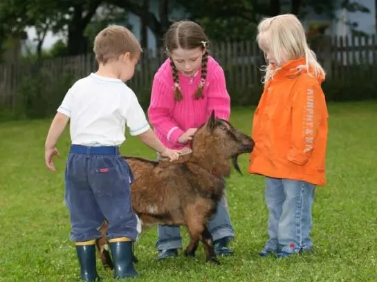 Familienbauernhof Mesner