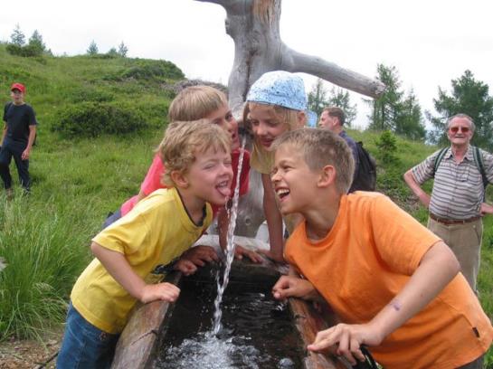 Familienbauernhof Mesner