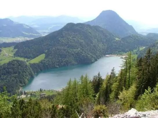 Hotelli Goingstätthof