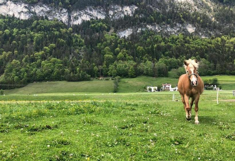 فندق Haflingerhof