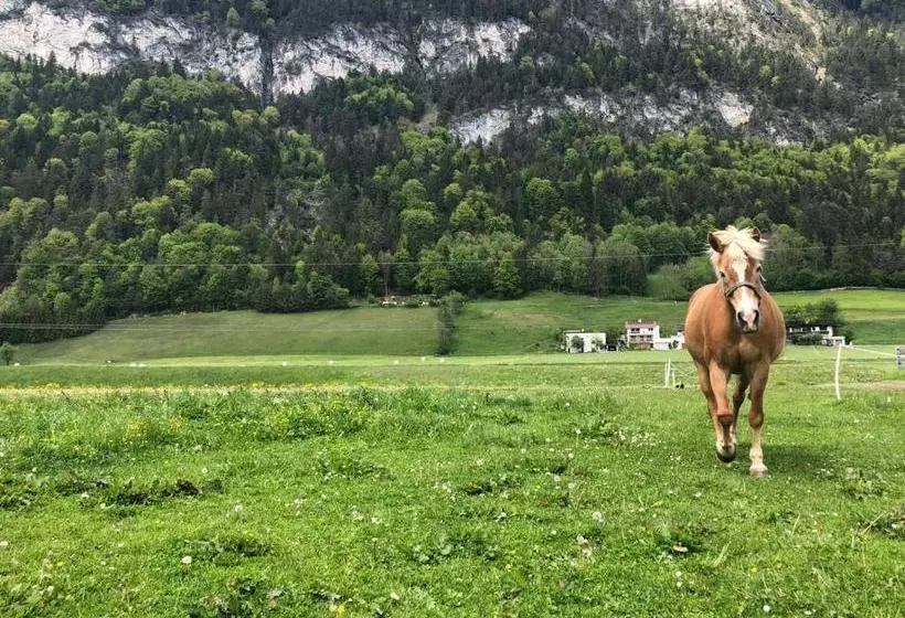 Отель Haflingerhof
