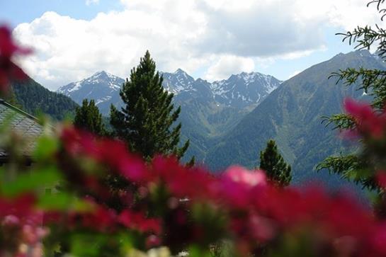 Отель Haus Traudl