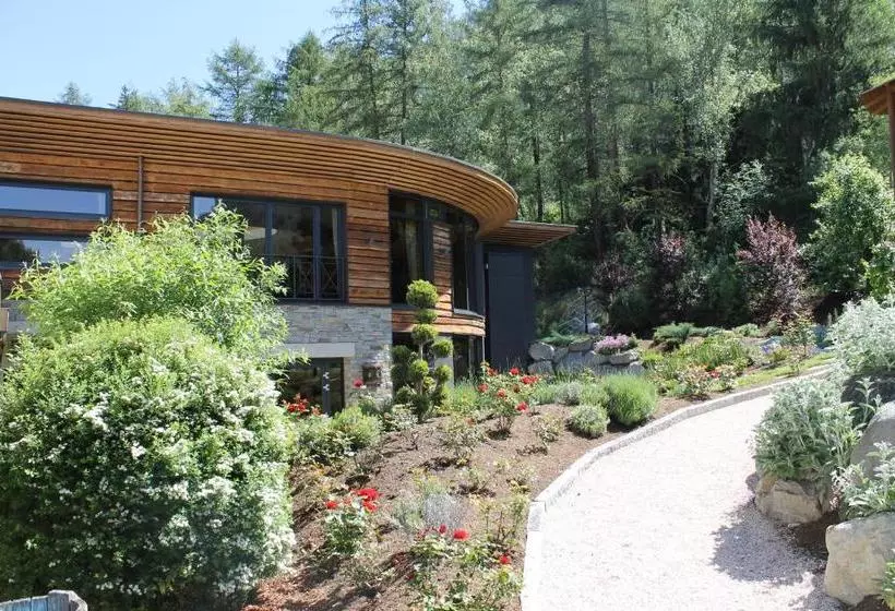 Отель Mozartvital