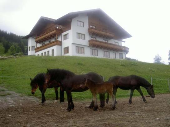 مبيت وإفطار Pension Asingerhof