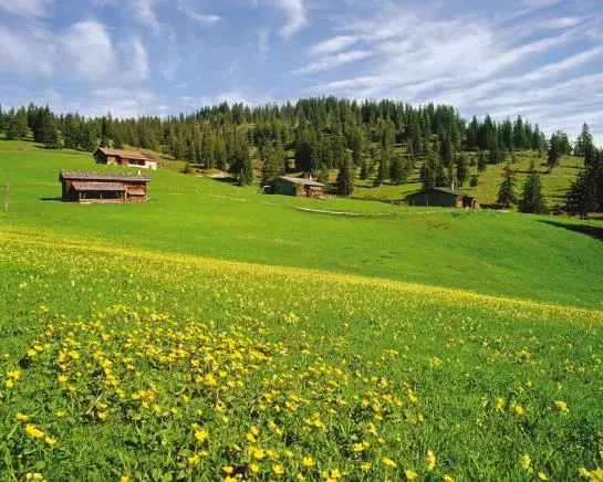 تختخواب و صبحانه Pension Fürstenhof