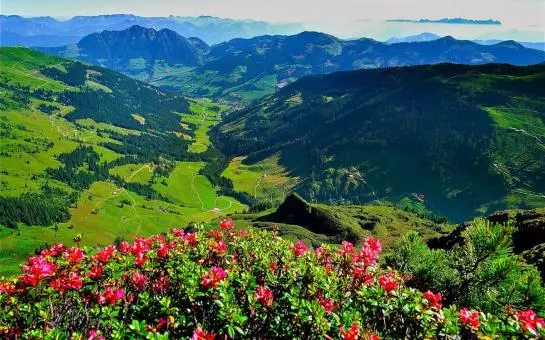 تختخواب و صبحانه Pension Fürstenhof