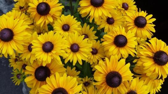 住宿加早餐  Pension Hohenrainer