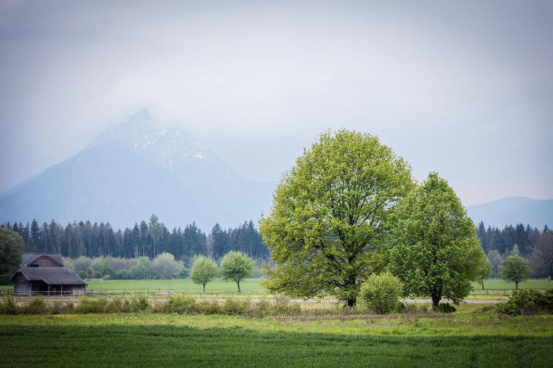 住宿加早餐  Gerl
