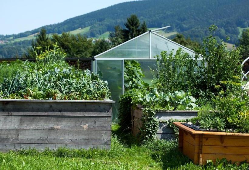 مبيت وإفطار Panorama Hotel Gasthof Leidingerhof