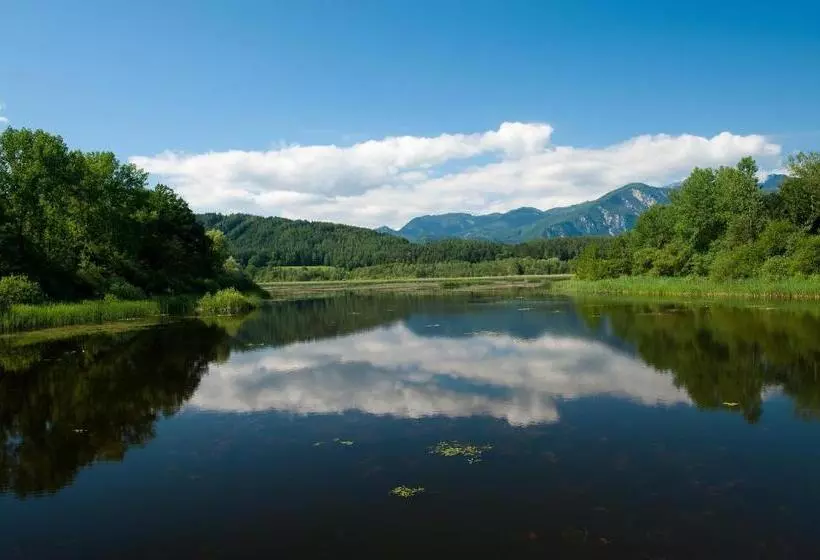 צימר Pension Gertraud