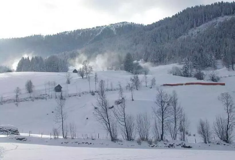 צימר Pension Gertraud