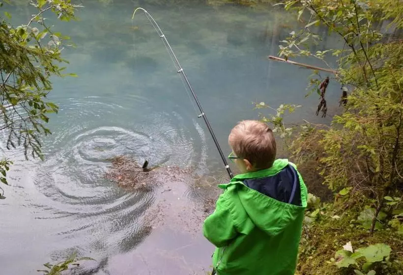 Bed and Breakfast Pension Zenzlgut