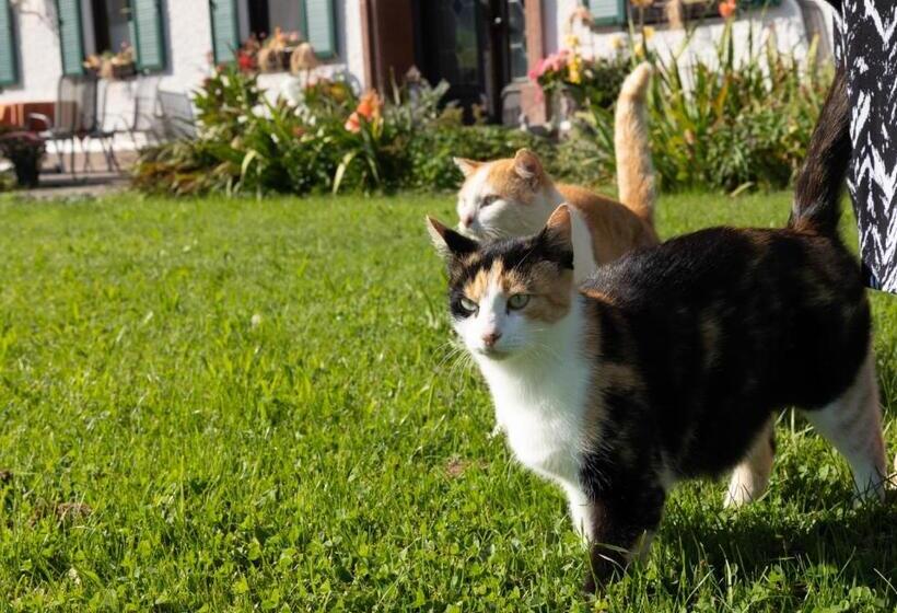 Bed and Breakfast Pension Zenzlgut