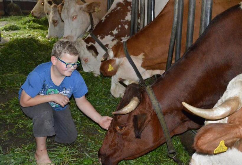 Bed and Breakfast Pension Zenzlgut