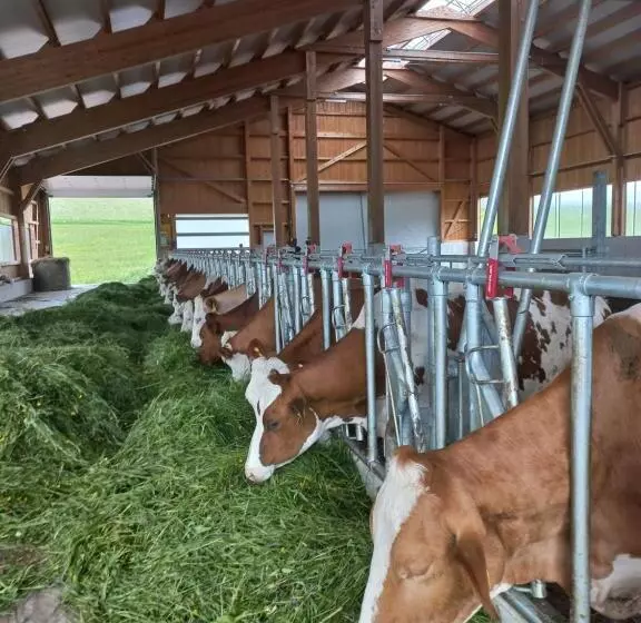 Bed and Breakfast Pension Zenzlgut