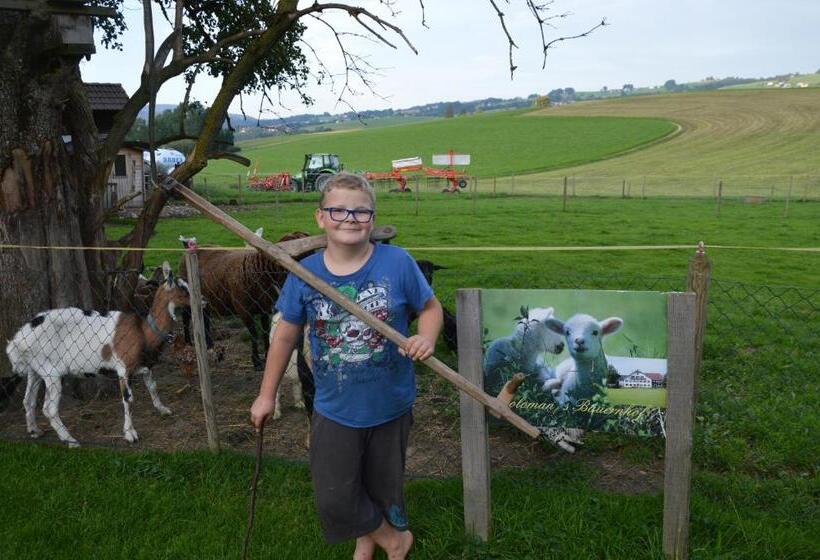 Bed and Breakfast Pension Zenzlgut